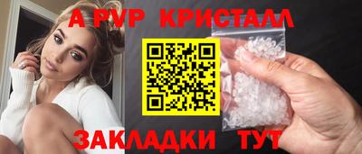 стаф Донской