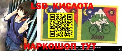 стаф Донской