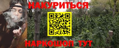 стаф Донской