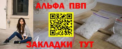 стаф Донской